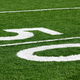 Illustration for article titled Here Are Some NFL Rule Changes, Including A Welcome One About Field Color
